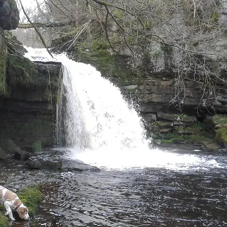 Dom wakacyjny Beech Carlton (Richmondshire)